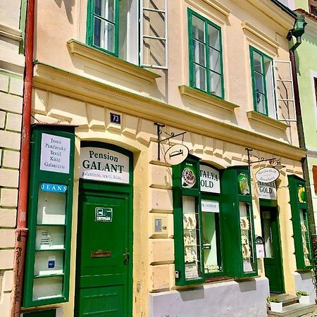 Apartman Galant Cesky Krumlov Ngoại thất bức ảnh