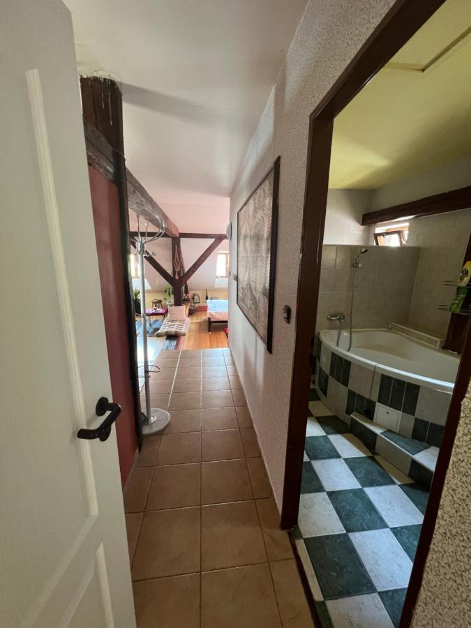 Apartman Galant Cesky Krumlov Ngoại thất bức ảnh